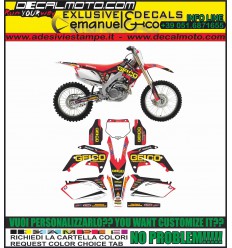 CRF 450 2009 - 2012 TEAM GEICO REPLICA